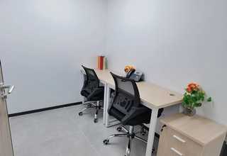 河北野生城镇绿化苗种植表